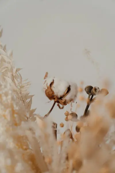 pexels cottonbro studio 4273425 scaled.jpg